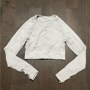 Gray Long Sleeve Crop Top